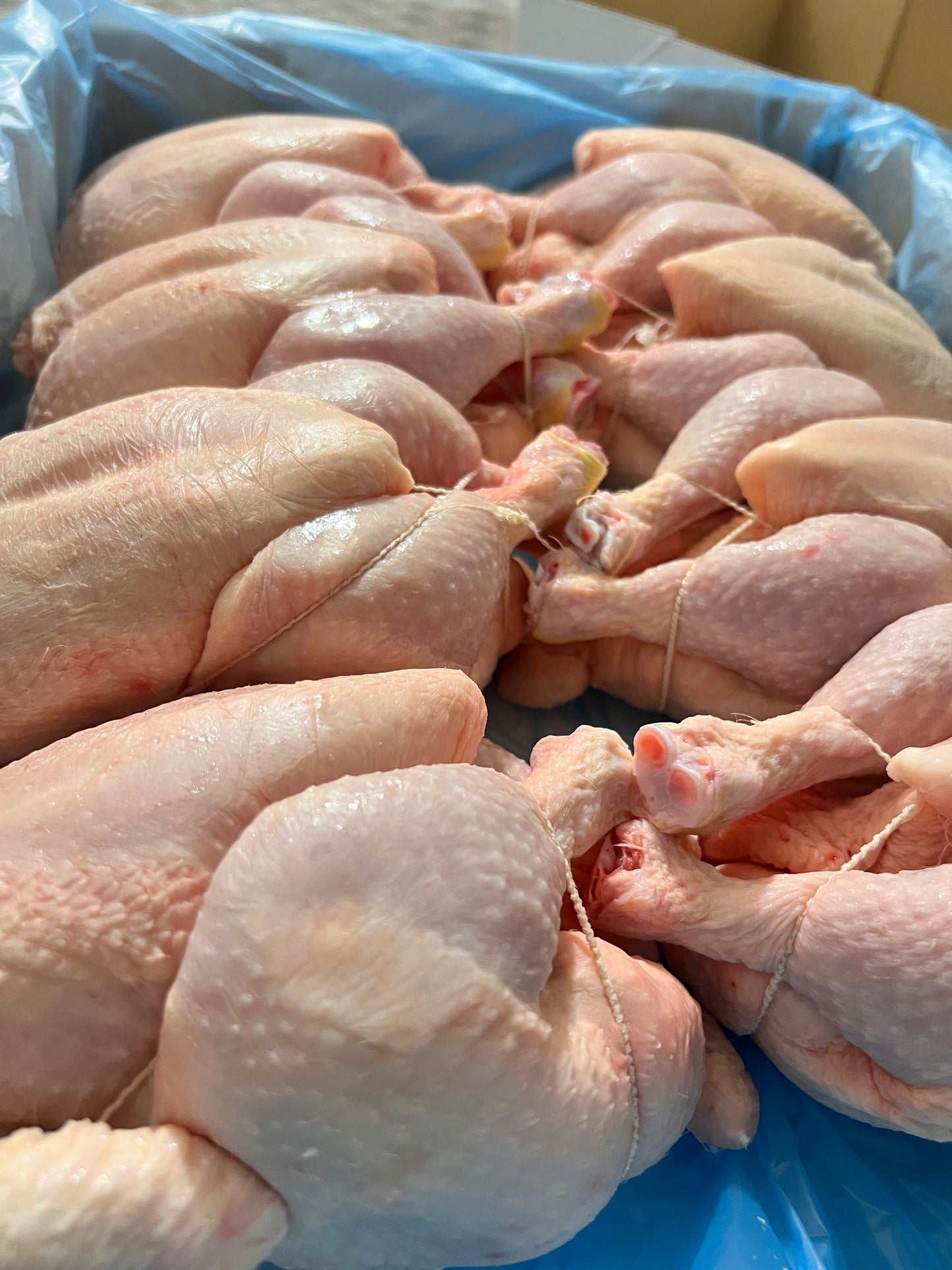 BCC Hähnchen 10x1,2kg Spezielle Behandlung handgeschächtet Belgien