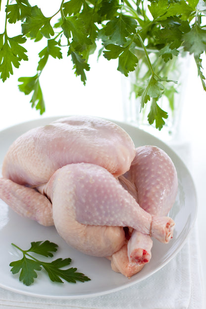 Ganzes Hähnchen 8x1.4 KG Dajaj